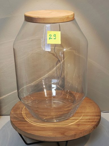 terrarium avec plantes et éclairage