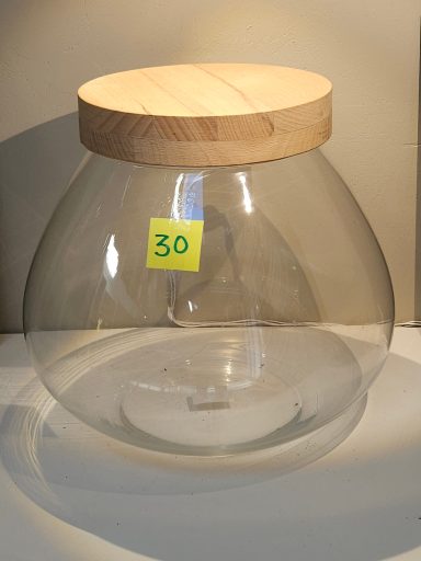 terrarium avec plantes et éclairage