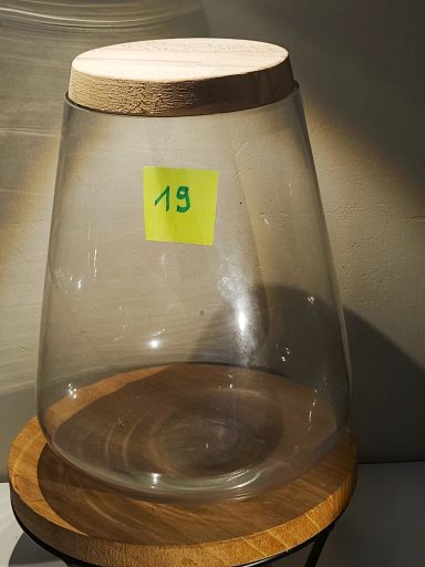 terrarium avec plantes et éclairage