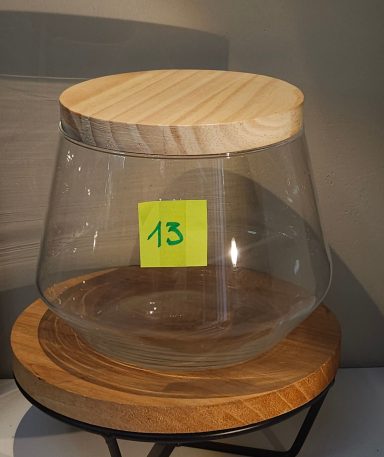 terrarium avec plantes et éclairage