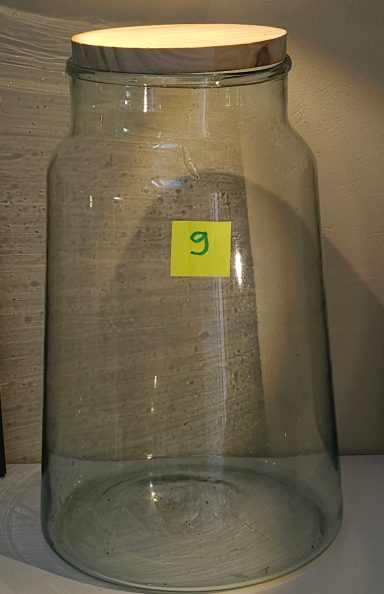 terrarium avec plantes et éclairage