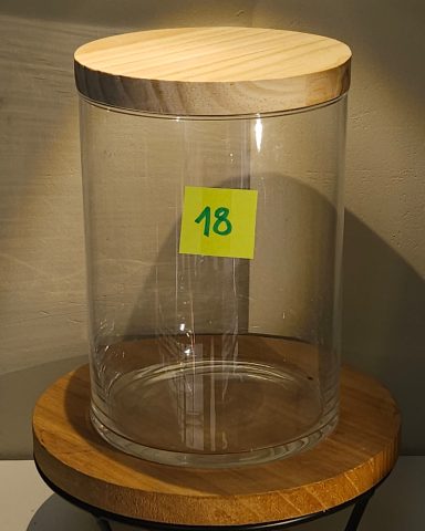 terrarium avec plantes et éclairage