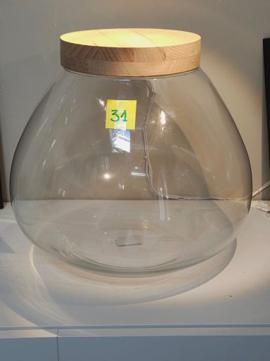 terrarium avec plantes et éclairage