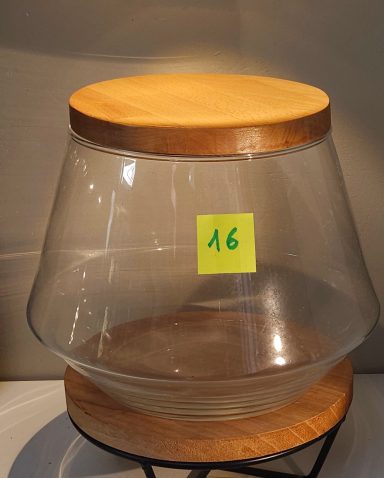 terrarium avec plantes et éclairage