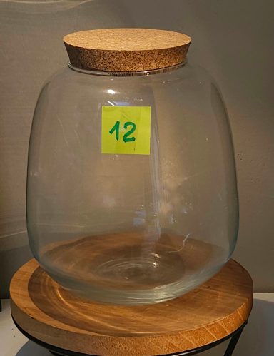 terrarium avec plantes et éclairage