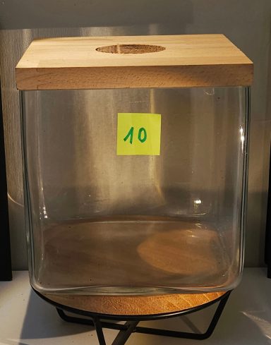 terrarium avec plantes et éclairage