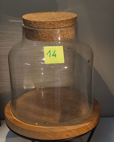 terrarium avec plantes et éclairage