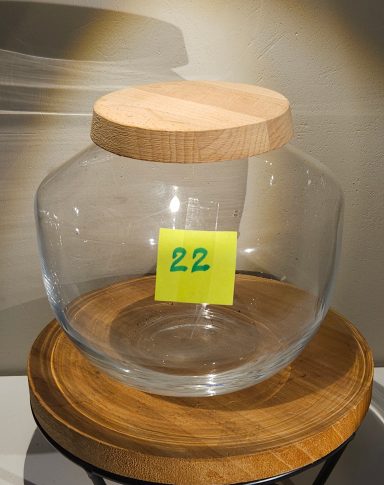 terrarium avec plantes et éclairage