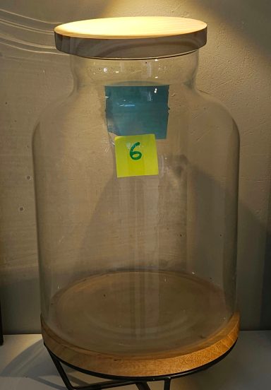  terrarium avec plantes et éclairage