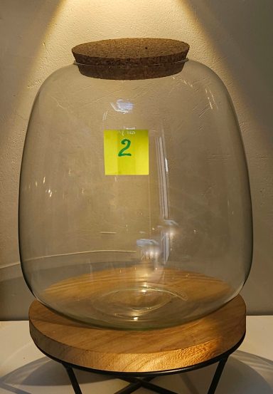 terrarium avec plantes et éclairage