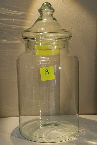 terrarium avec plantes et éclairage