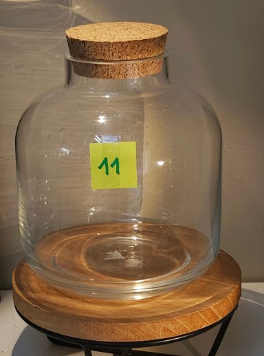 terrarium avec plantes et éclairage