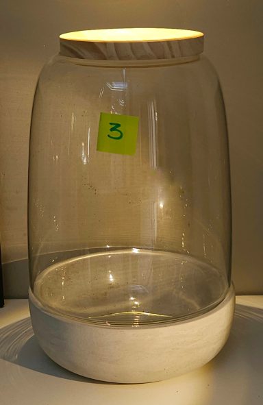 terrarium avec plantes et éclairage