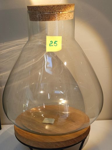 terrarium avec plantes et éclairage