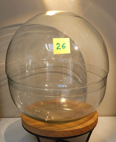 terrarium avec plantes 