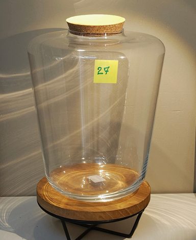 terrarium avec plantes et éclairage