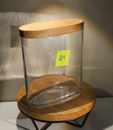 terrarium avec plantes et éclairage