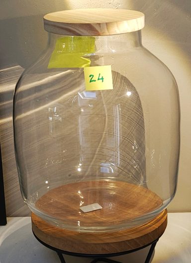 terrarium avec plantes et éclairage