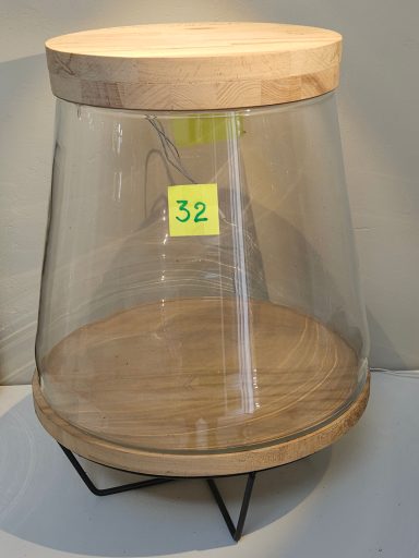 terrarium avec plantes et éclairage