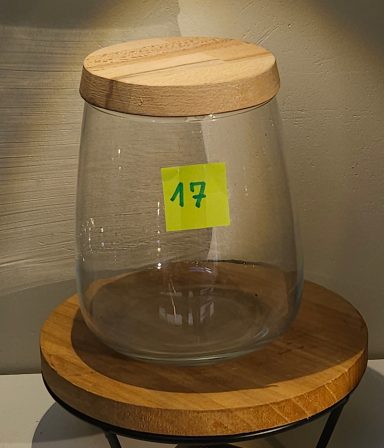 terrarium avec plantes et éclairage