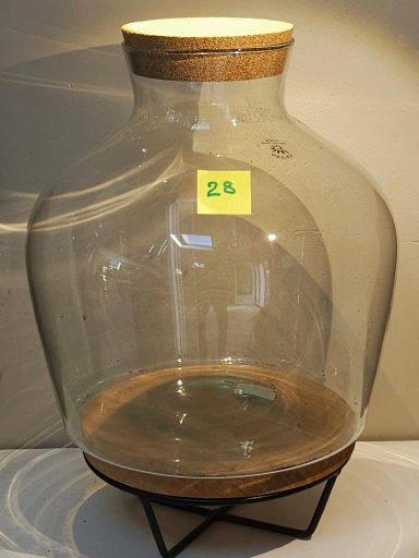 terrarium avec plantes et éclairage