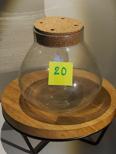 terrarium avec plantes et éclairage