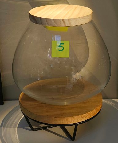 terrarium avec plantes et éclairage