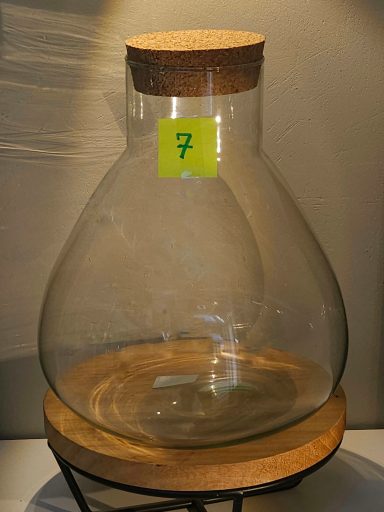 terrarium avec plantes et éclairage