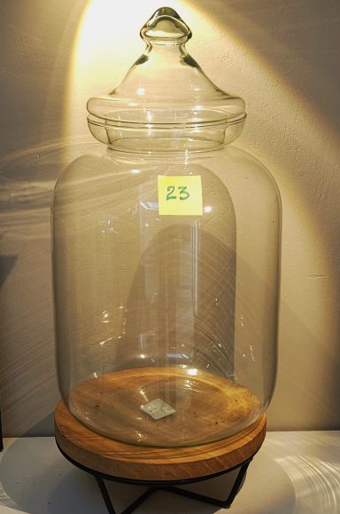 terrarium avec plantes 